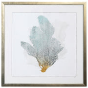 Delicate Coral II 26"