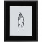 Marine Life I 18"