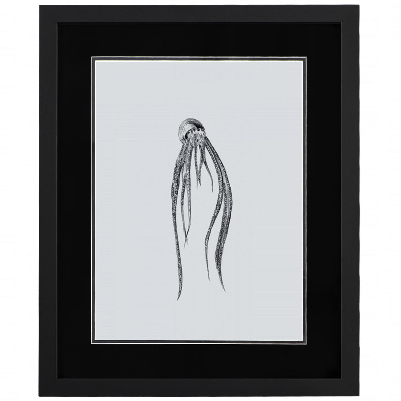 Marine Life I 18"