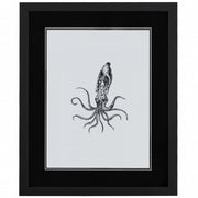 Marine Life II 18"