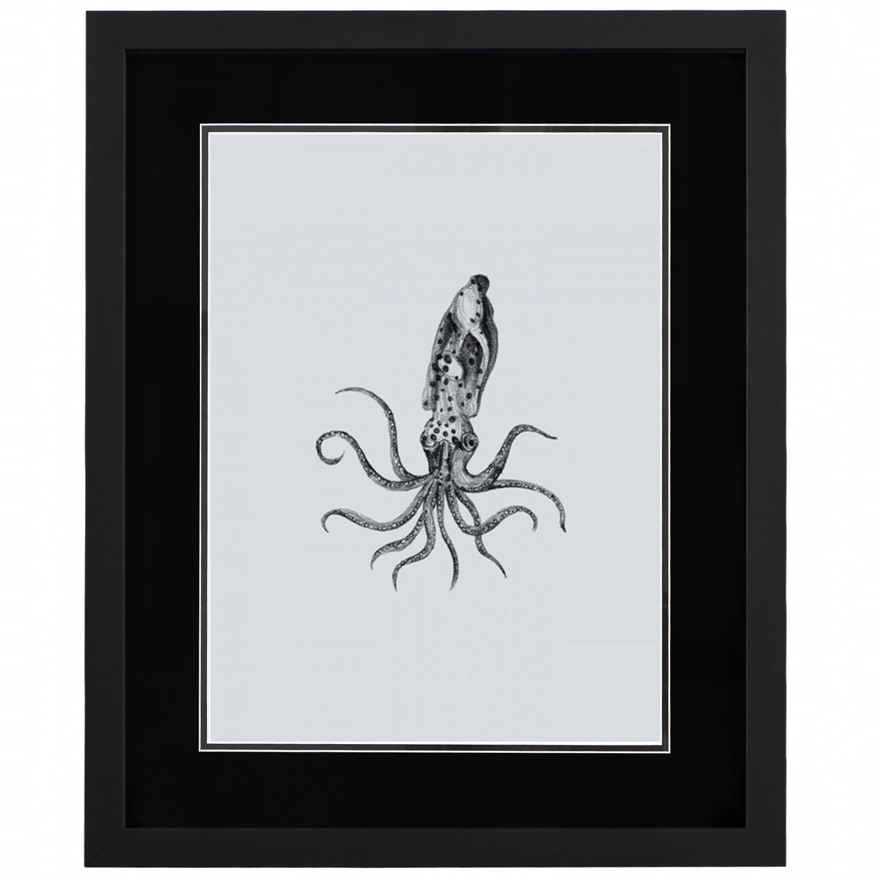 Marine Life II 18"