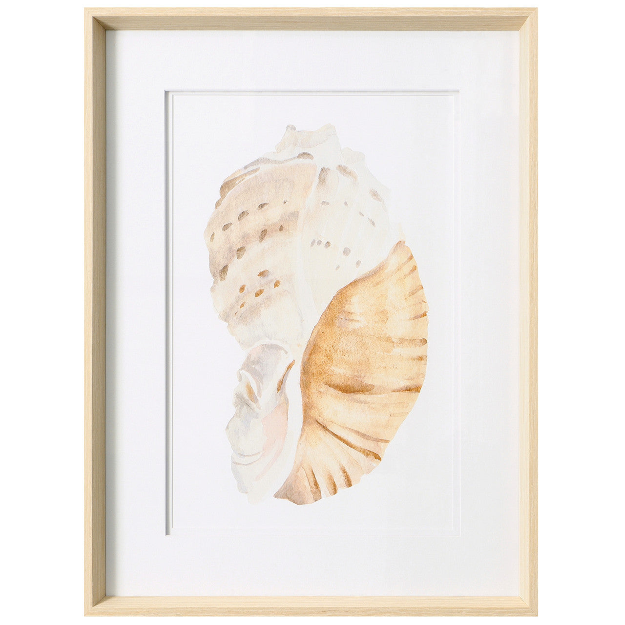 Seashell I 19"