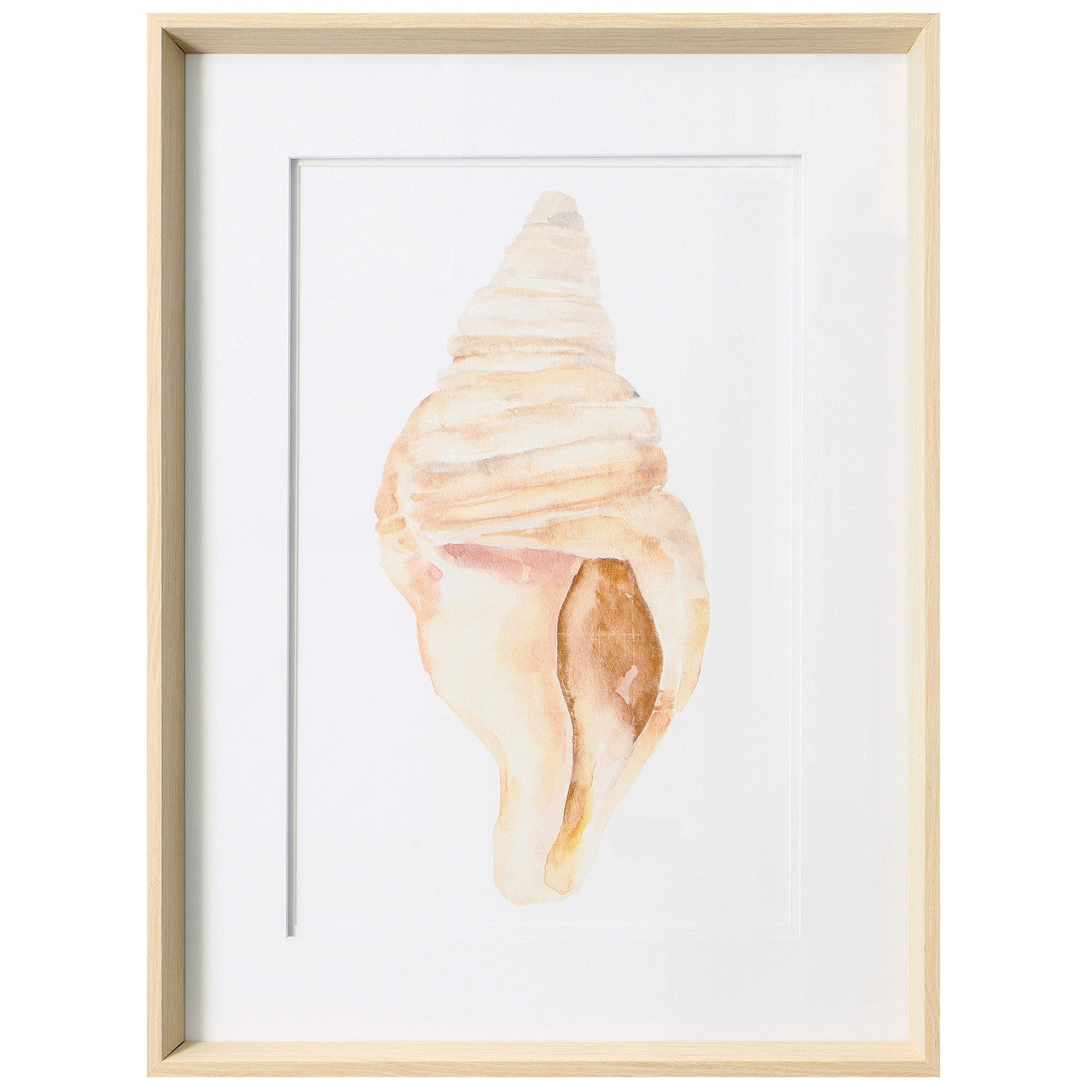 Seashell II 19"