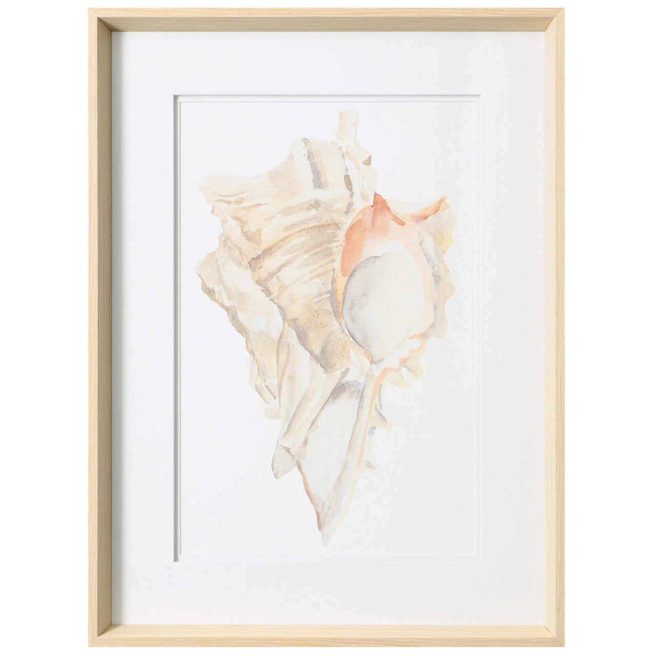 Seashell IV 19"