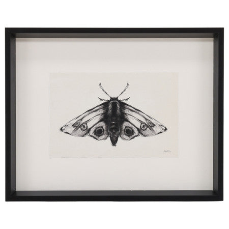 Moth II 17"