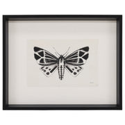 Moth III 17"