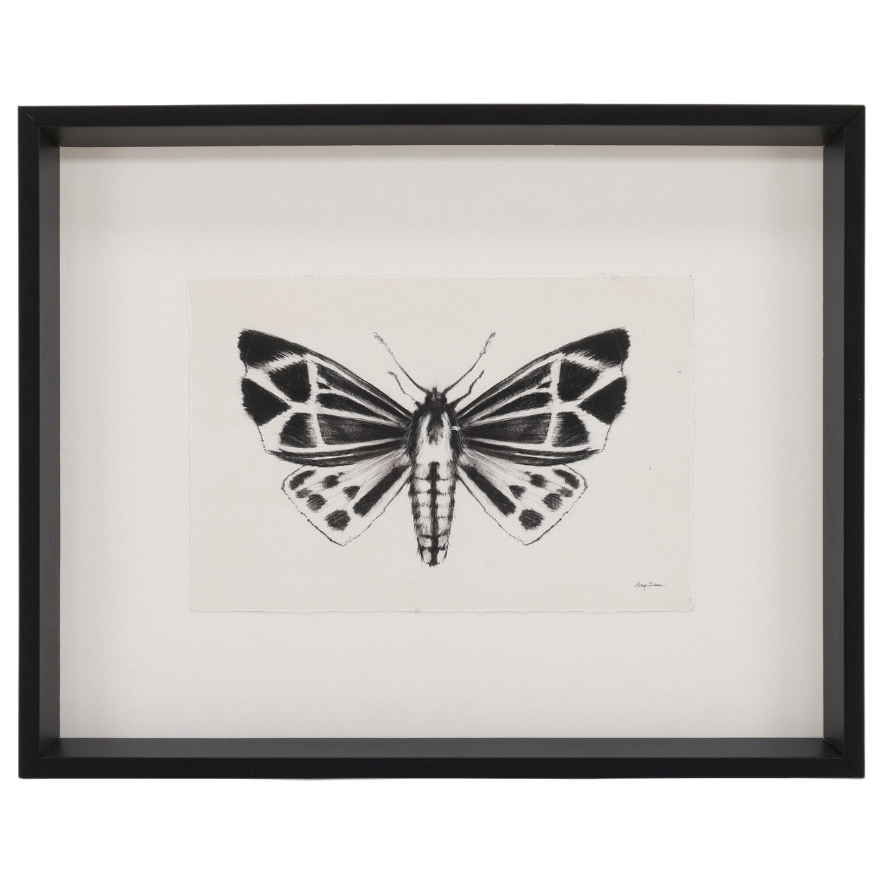 Moth III 17"