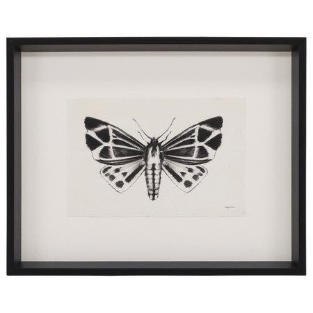 Moth III 17"