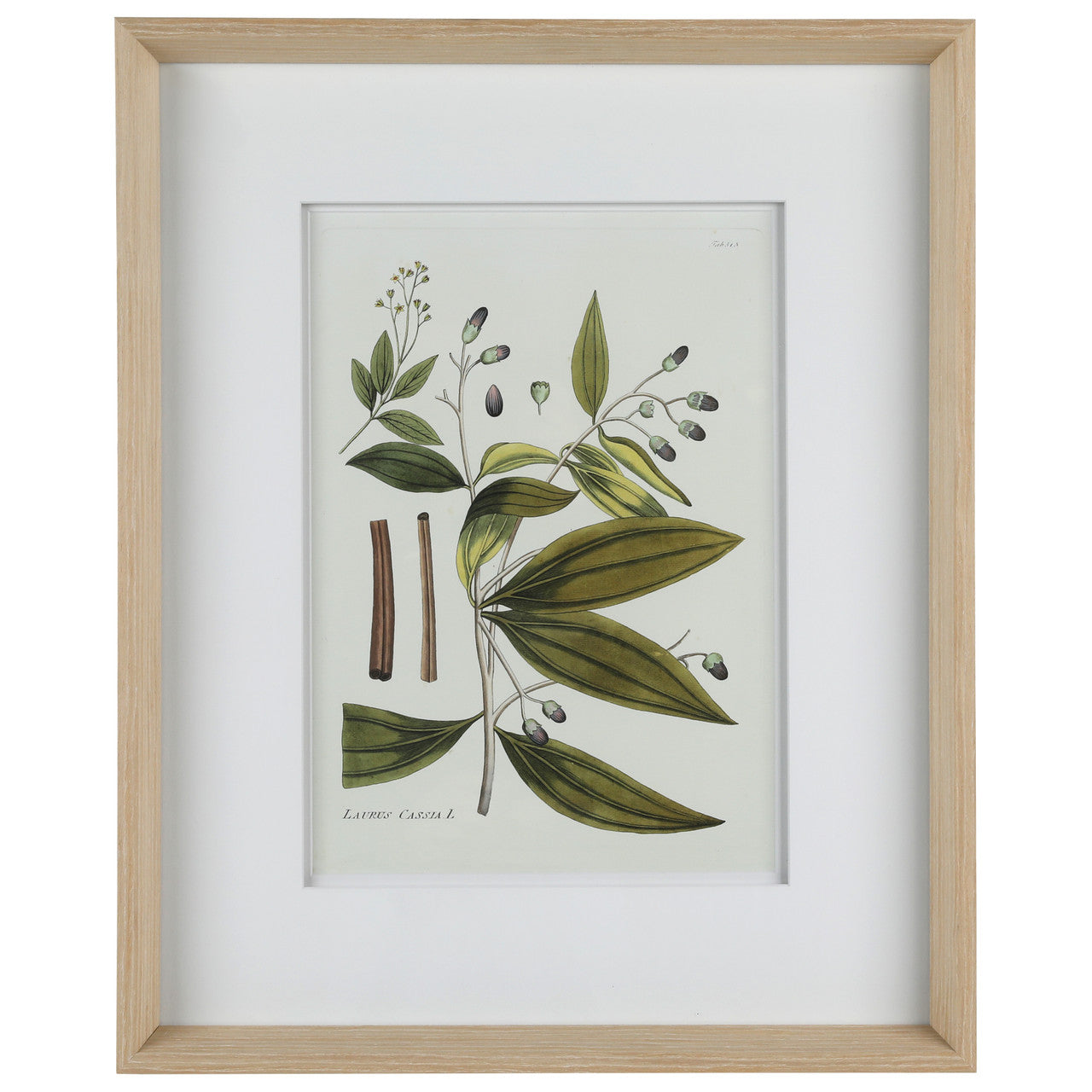 Nature's Elegance I 17"