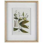 Nature's Elegance I 17"