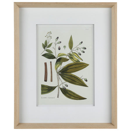 Nature's Elegance I 17"