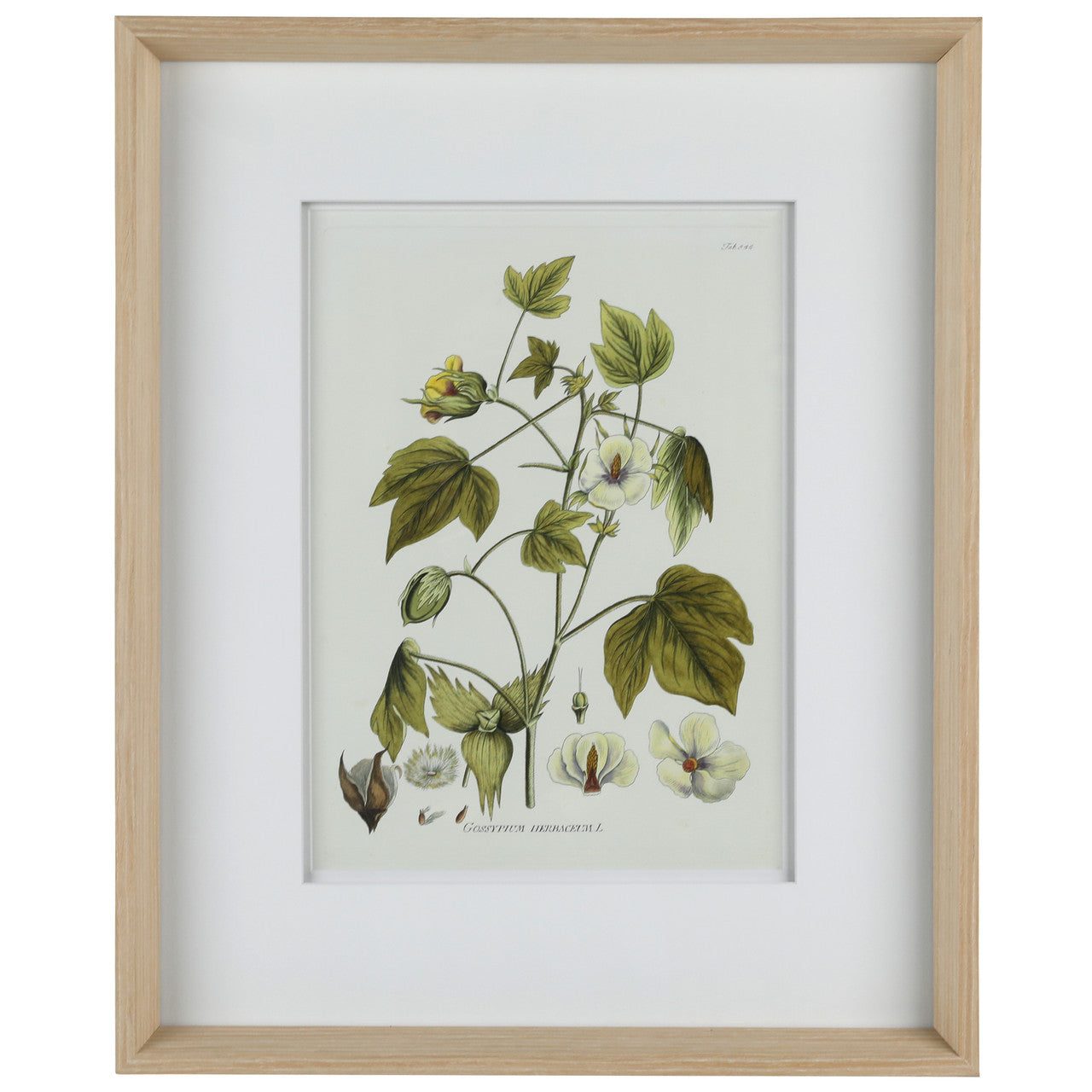Nature's Elegance II 17"