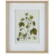 Nature's Elegance II 17"