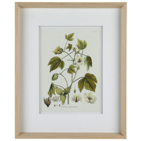 Nature's Elegance II 17"