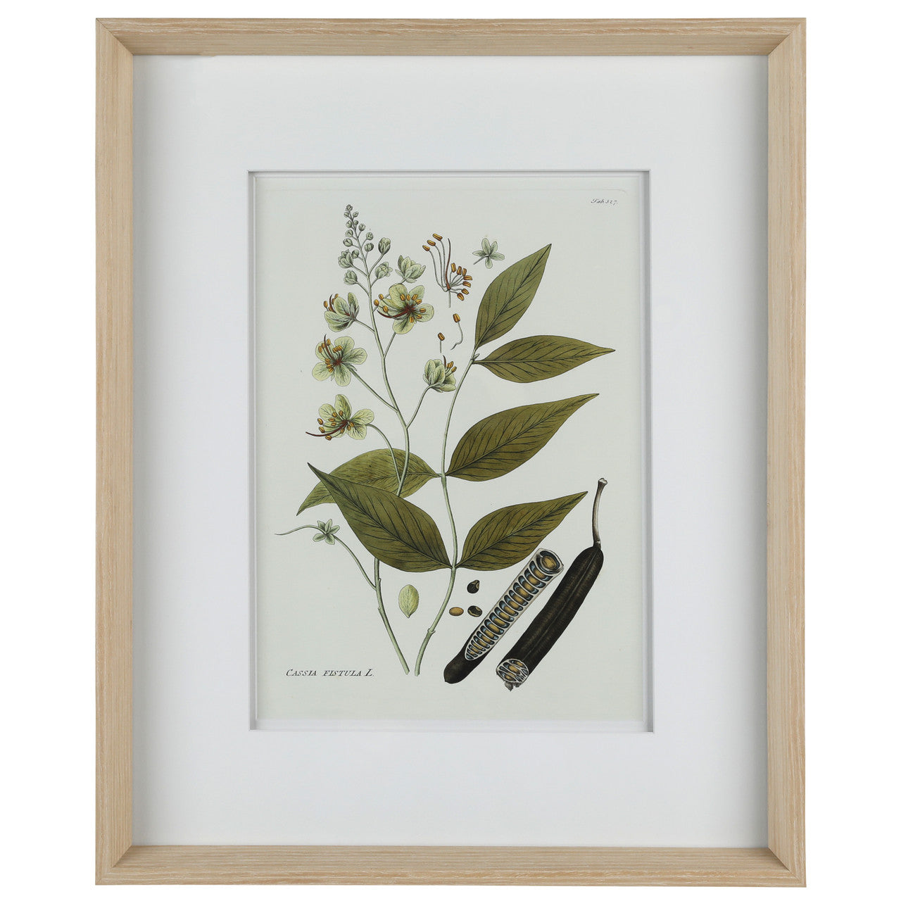 Nature's Elegance III 17"