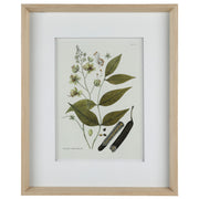 Nature's Elegance III 17"
