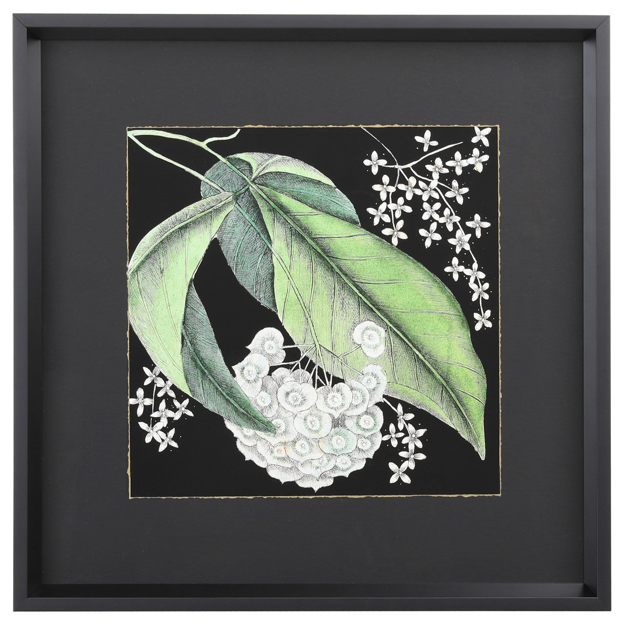 Graphic Botanical Mini I 19"