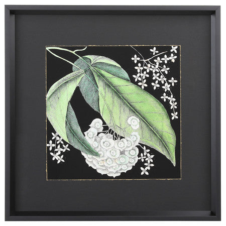 Graphic Botanical Mini I 19"
