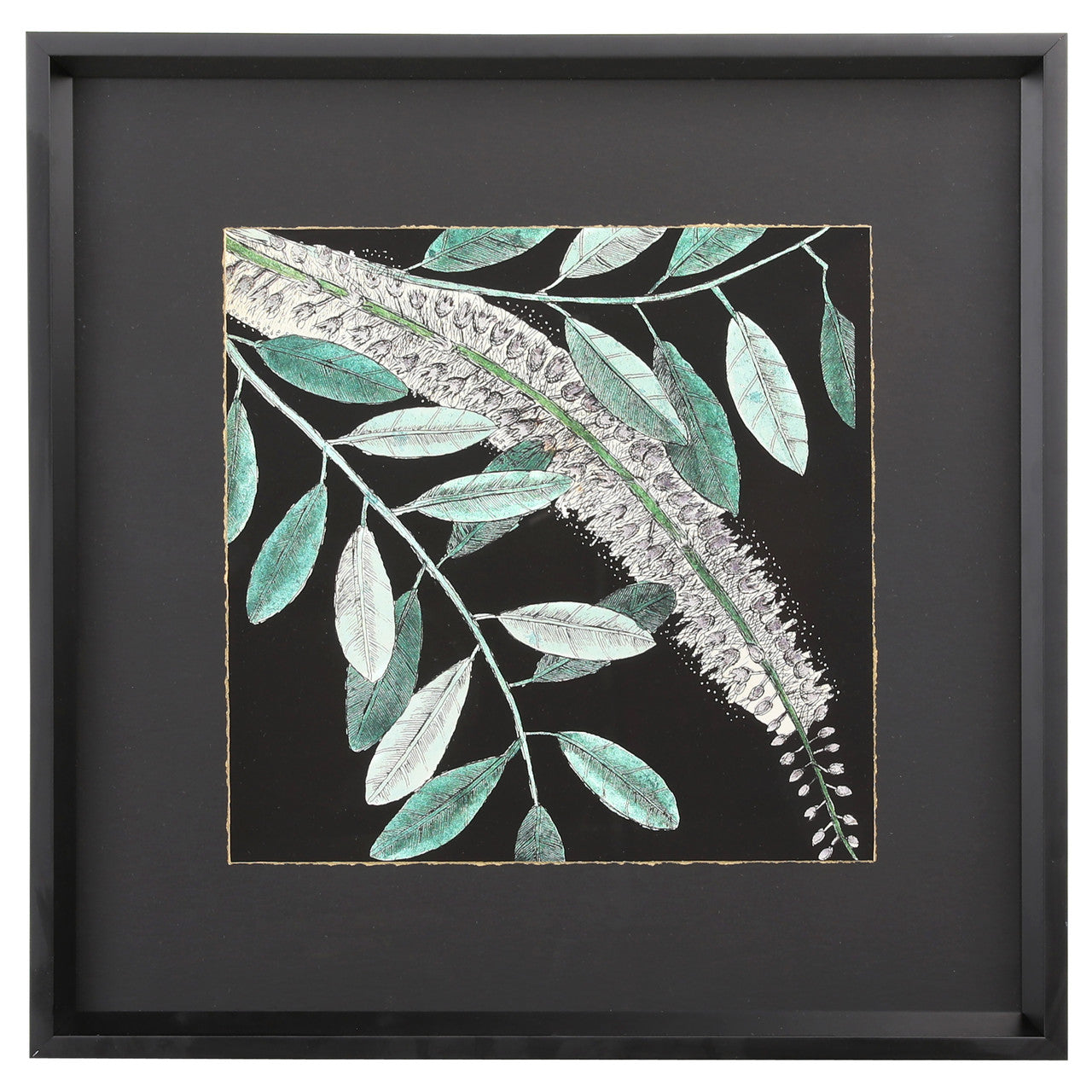 Graphic Botanical Mini XIII 19"