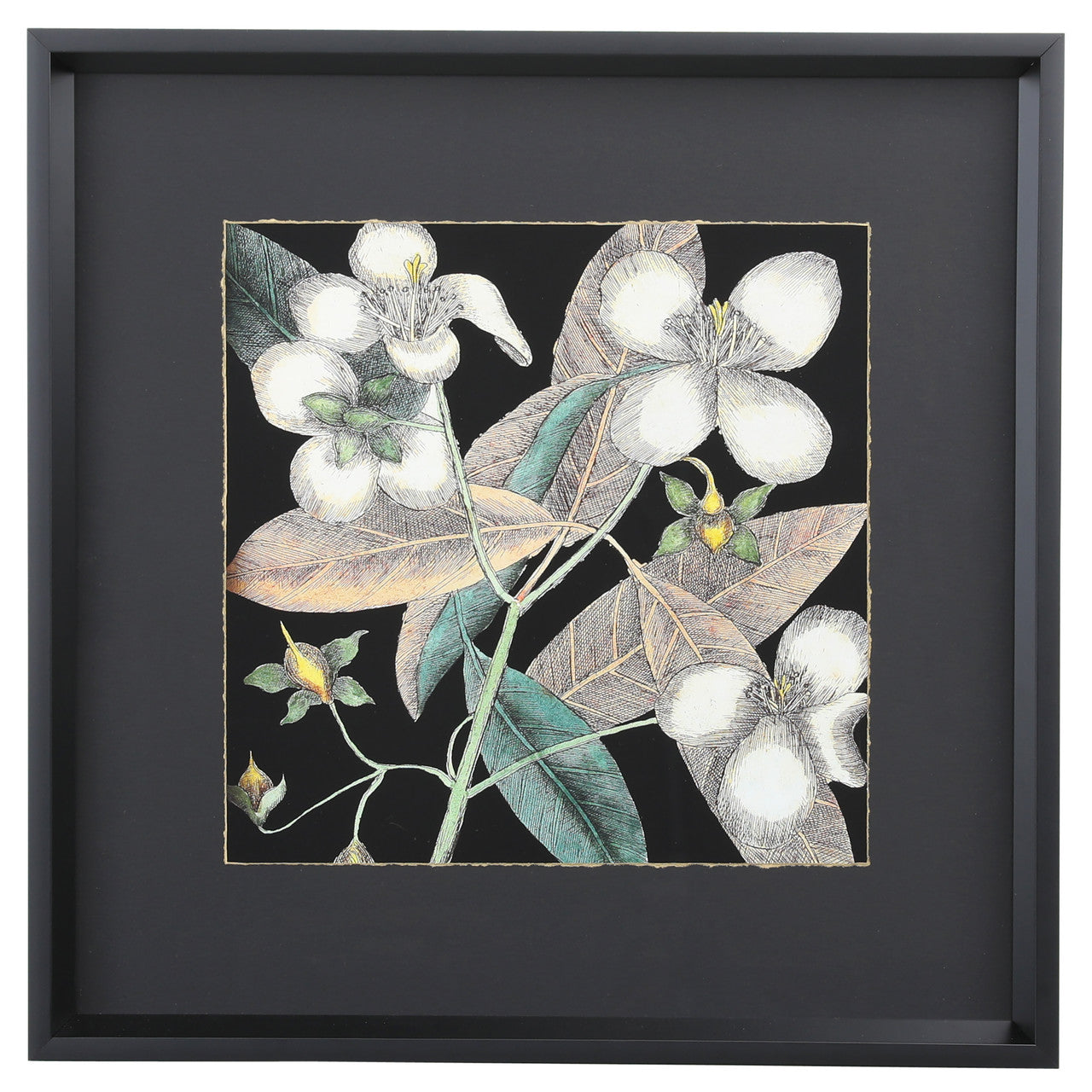 Graphic Botanical Mini XIX 19"
