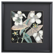 Graphic Botanical Mini XIX 19"