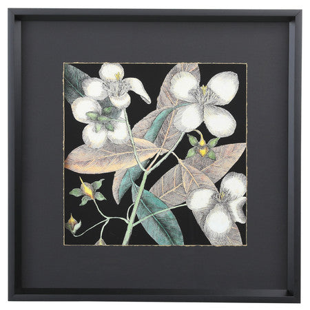 Graphic Botanical Mini XIX 19"