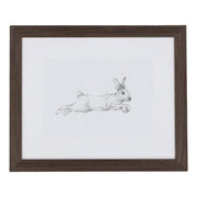 Hare Pencil Study I 22"