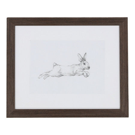 Hare Pencil Study I 22"