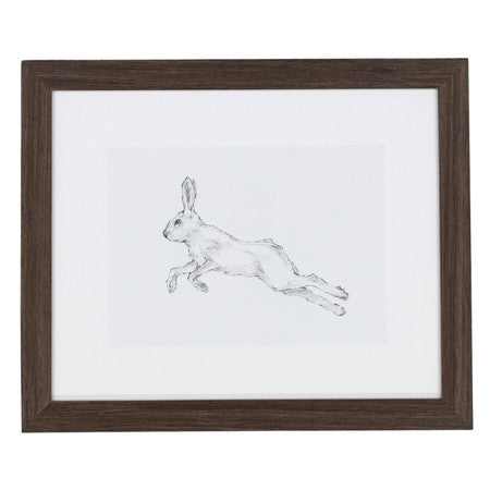 Hare Pencil Study II 22"