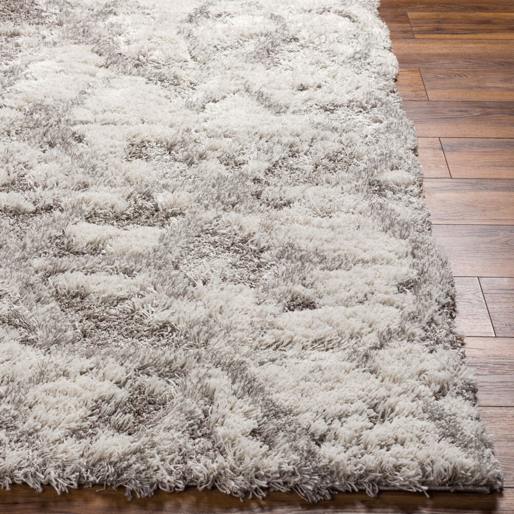 Alta Shag Light Gray/Off-White Machine Woven Rug - front