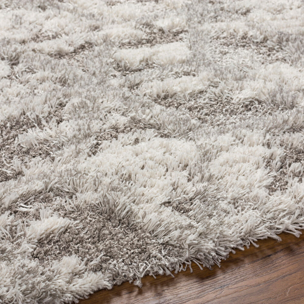 Alta Shag Light Gray/Off-White Machine Woven Rug - texture