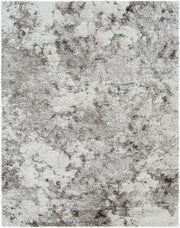 Alta Shag Gray/Off-White Machine Woven Rug ASG-2304 - 2' x 2'11"