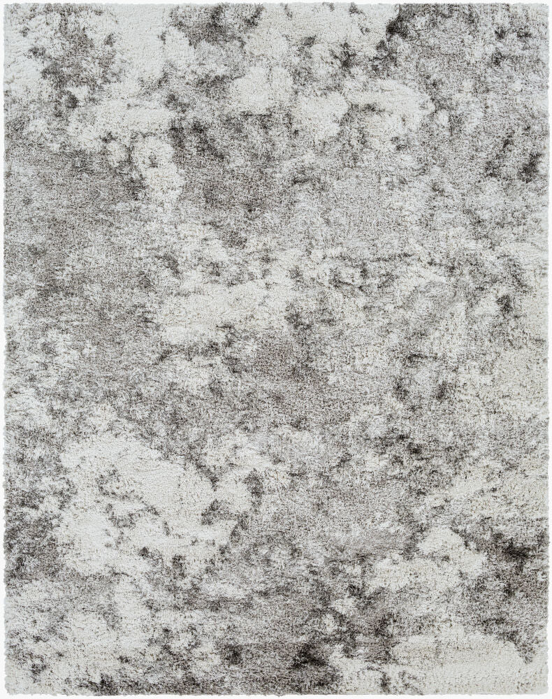 Alta Shag Gray/Off-White Machine Woven Rug ASG-2304 - 2' x 2'11"