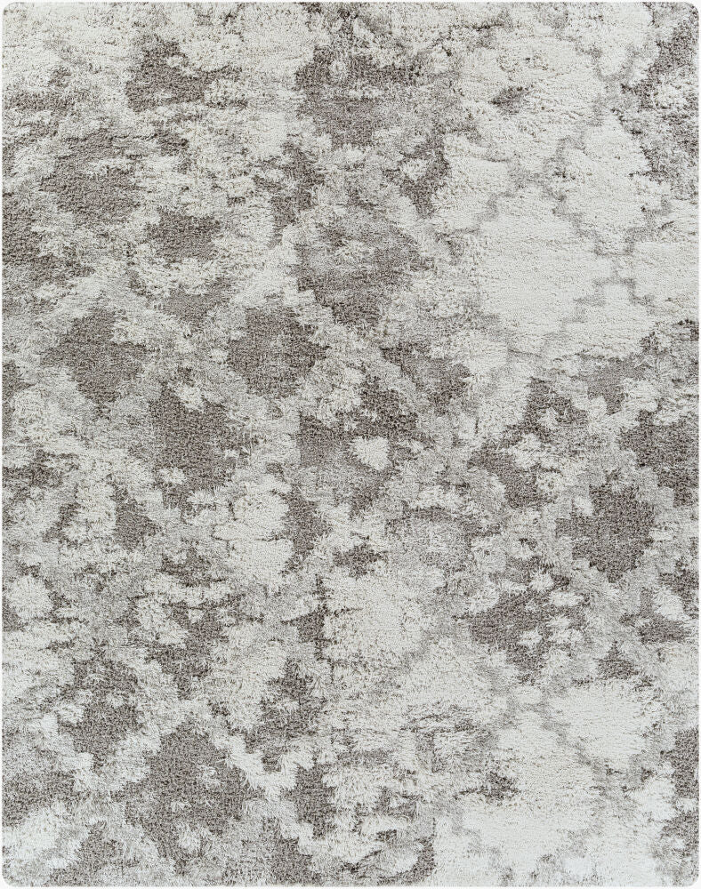 Alta Shag Gray/Off-White Machine Woven Rug ASG-2305 - 2' x 2'11"