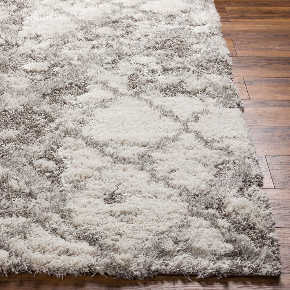 Alta Shag Gray/Off-White Machine Woven Rug ASG-2305 - front