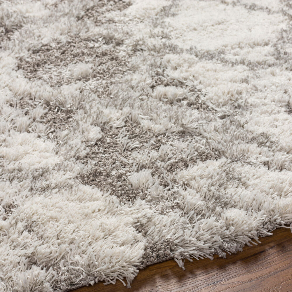 Alta Shag Gray/Off-White Machine Woven Rug ASG-2305 - texture