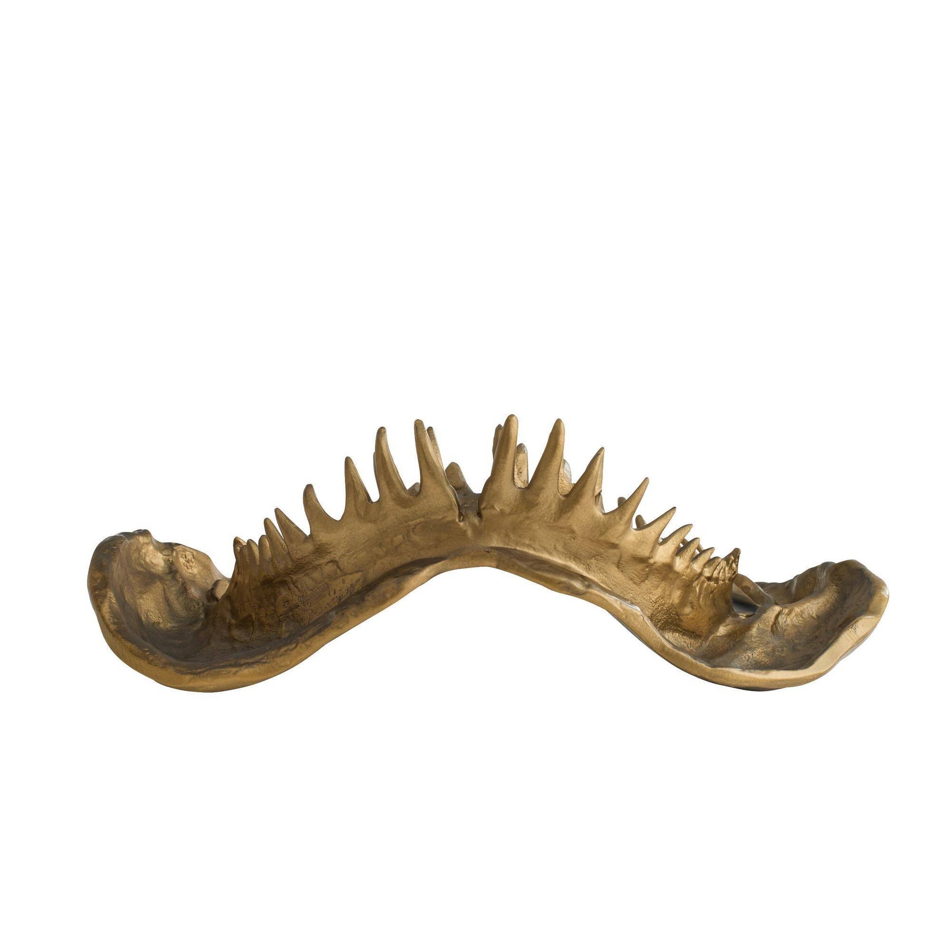 Mako Sculpture by Arteriors