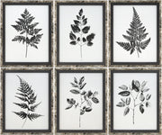 Auden Framed Art AUDE-002 - 1"H x 12"W x 15"D, 1"H x 12"W x 15"D, 1"H x 12"W x 15"D
