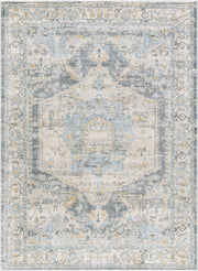 Avellino Deep Teal/Tan Machine Woven Rug AVL-2303 - 10' x 14'