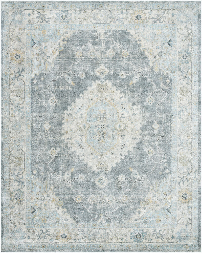 Avellino Deep Teal/Tan Machine Woven Rug AVL-2315 - 10' x 14'