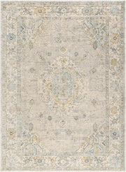 Avellino Deep Teal/Tan Machine Woven Rug AVL-2316 - 10' x 14'