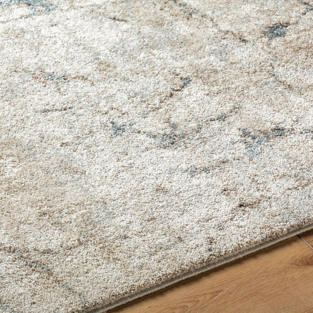 Avellino Deep Teal/Tan Machine Woven Rug AVL-2339 - texture