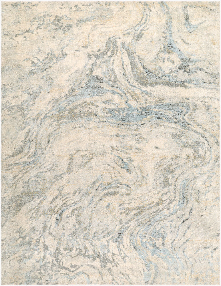 Avellino Deep Teal/Tan Machine Woven Rug AVL-2349 - 10' x 14'