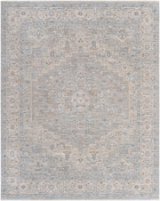 Avant Garde Brown/Light Gray Machine Woven Rug AVT-2301 - 2'7" x 10'