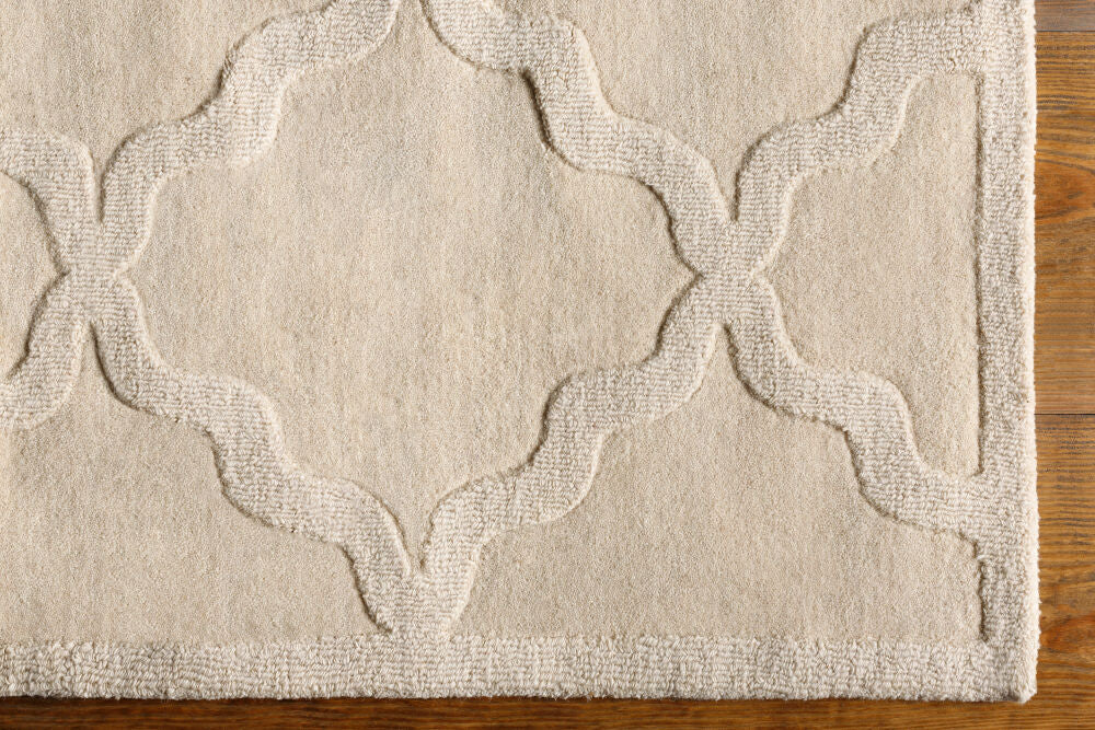 Central Park Beige Handmade Rug - overhead