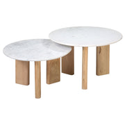 Bryn Coffee Table Set of 2 30"