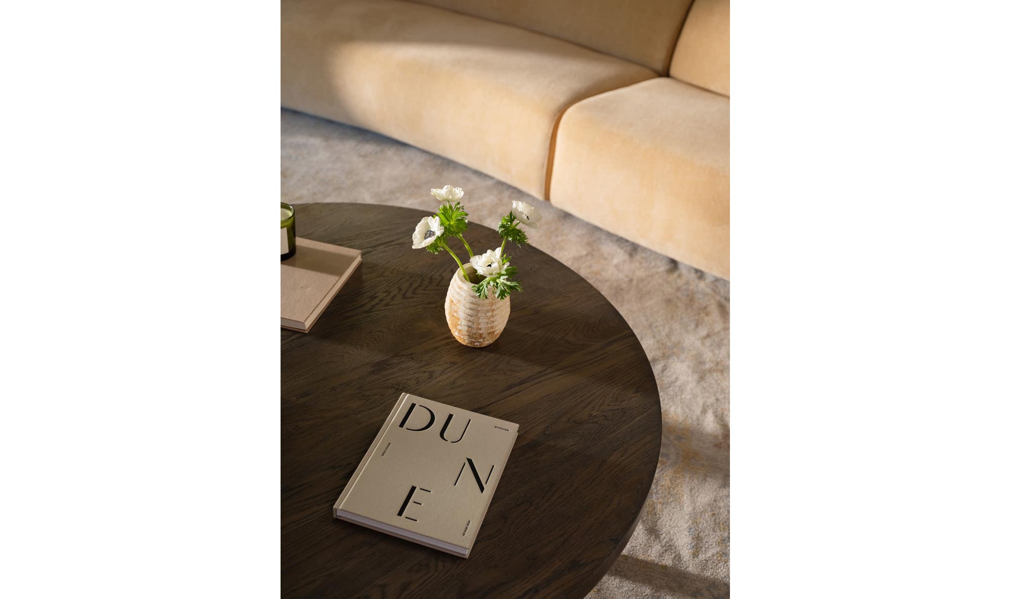 Alden Coffee Table Cool Brown by Moe's Home Collection - view 8