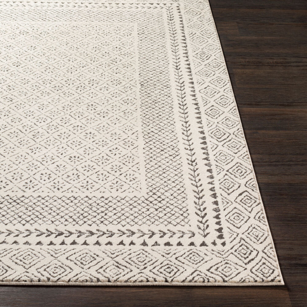 Bahar Charcoal/Light Beige Machine Woven Rug - front