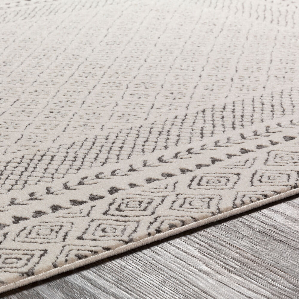 Bahar Charcoal/Light Beige Machine Woven Rug - texture