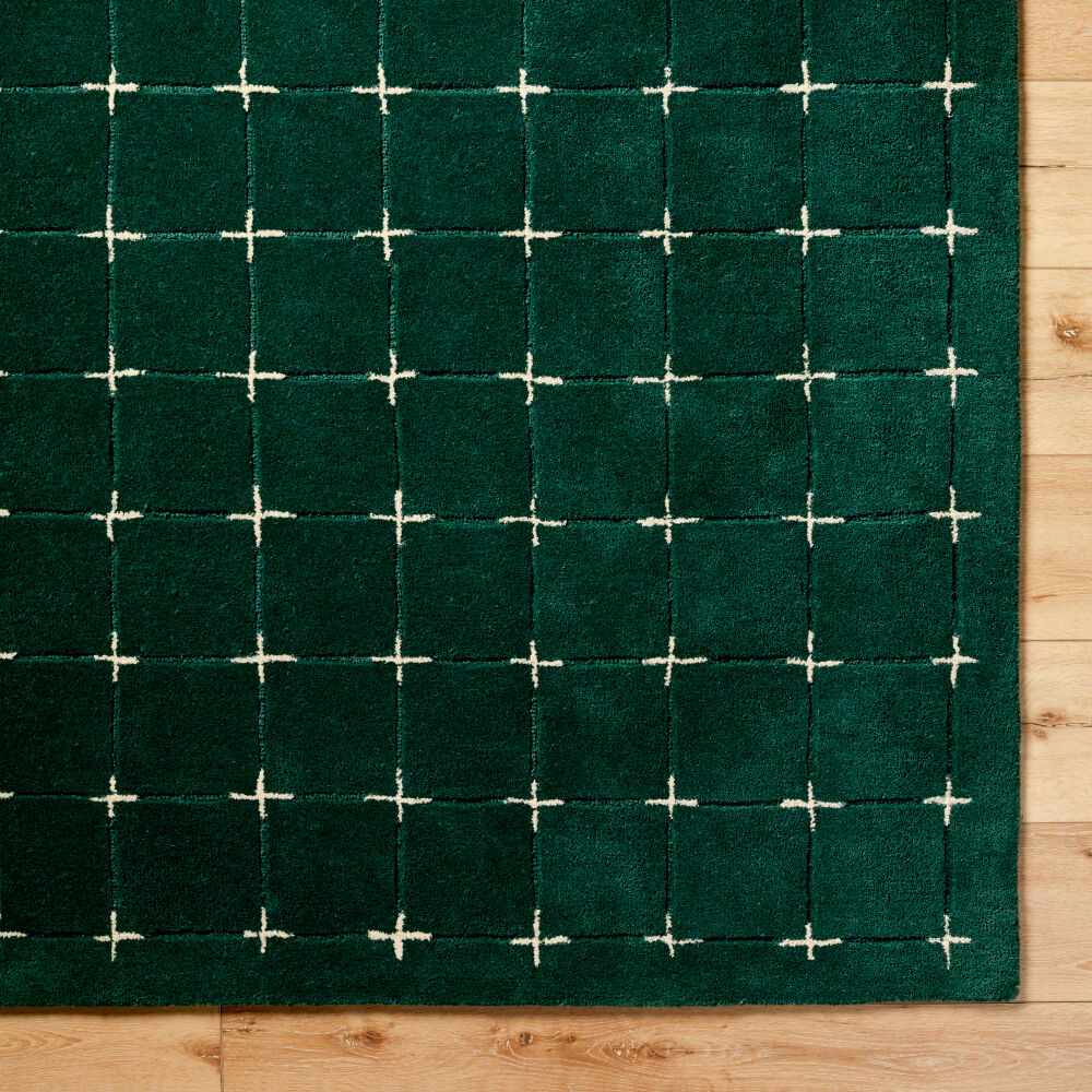 Brook Dark Green/Light Beige Handmade Rug BKO-2333 - overhead